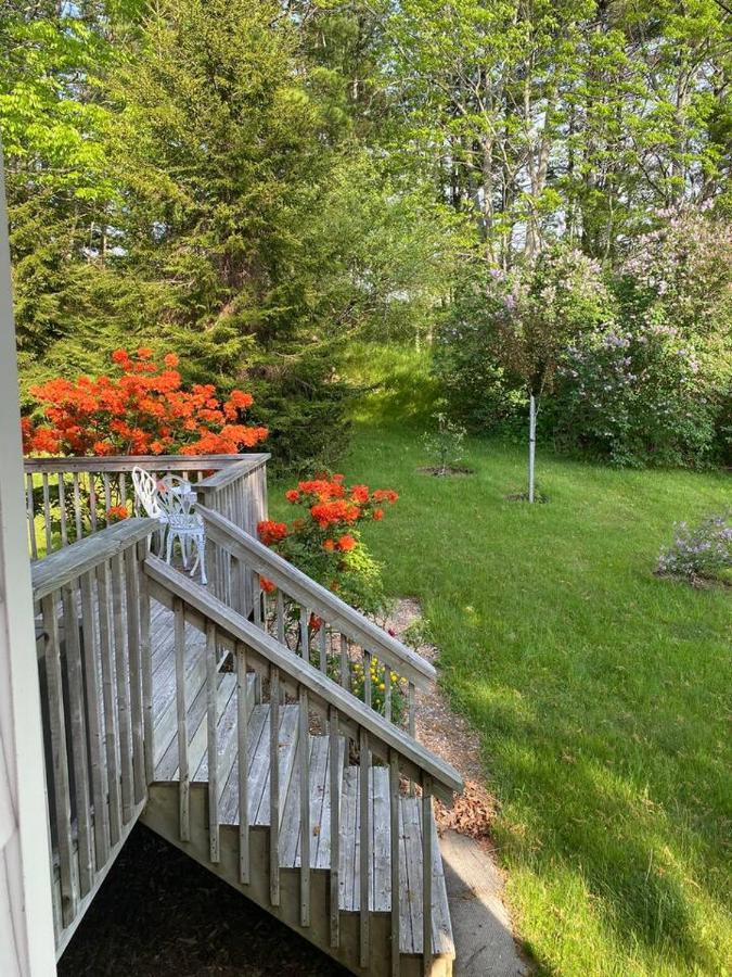 Apartmán Sea La Vie Mahone Bay Exteriér fotografie